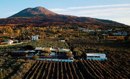 Cooking Class in a Vesuvius farm