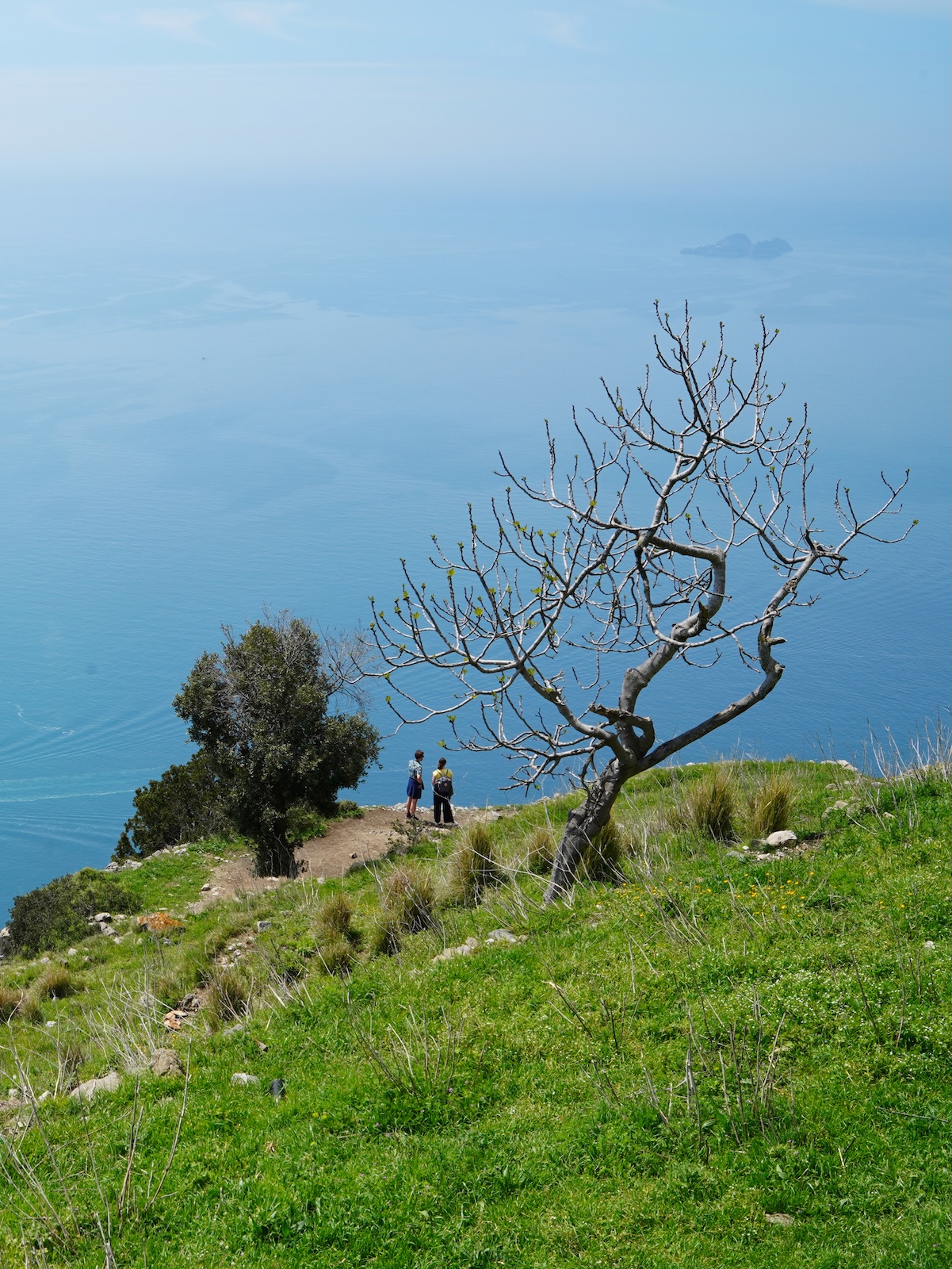 Sul Sentiero degli Dei: aperi-trekking dal pastore