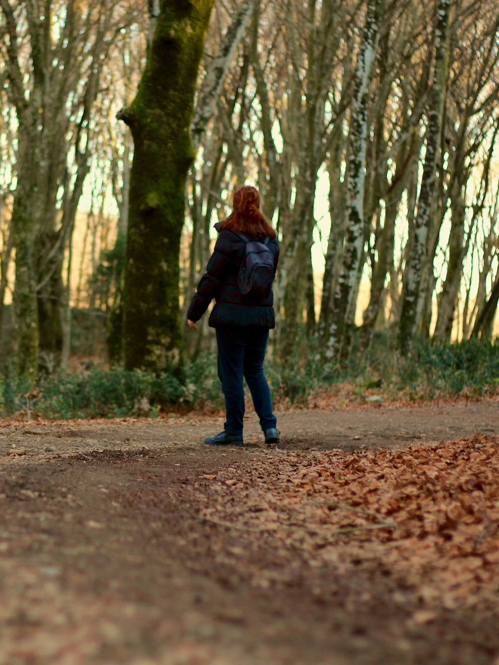 Trekking nella faggeta di Monte Raschio