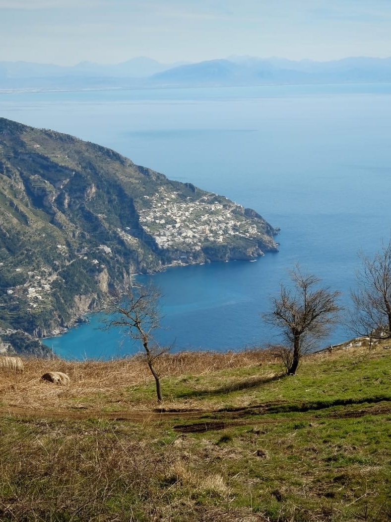 Sulla cima del Monte Comune